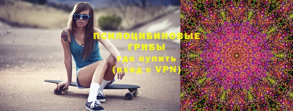 спиды Алексин