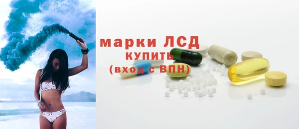стафф Алзамай